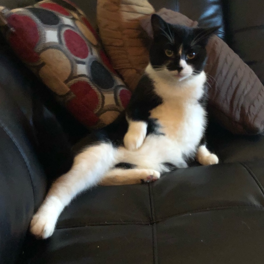 Meet your Posher, Deja